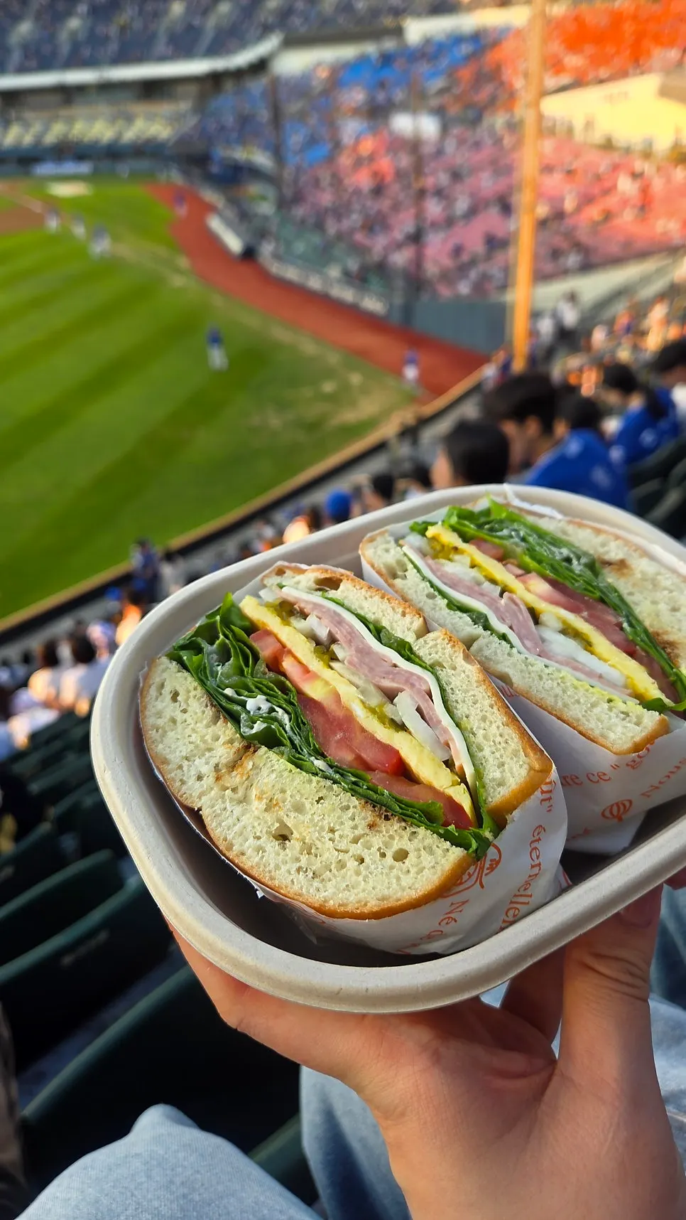 Ham cheese bagel with ham, cheese, and vegetables