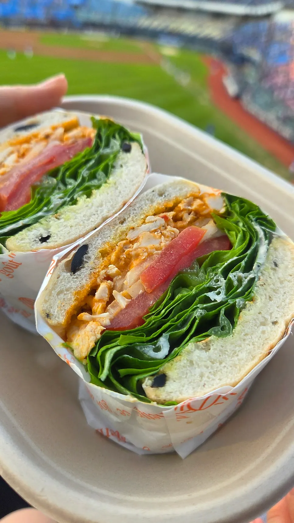 Three sandwiches with different types of bread