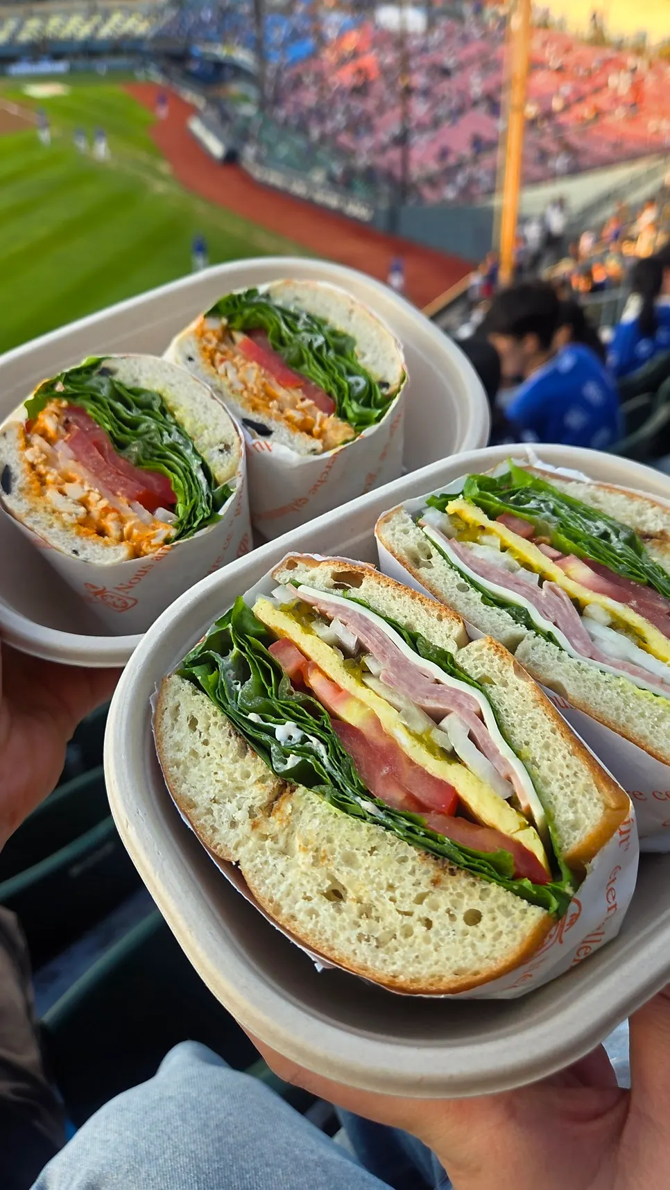 Cross-section of a sandwich, easy to eat by hand