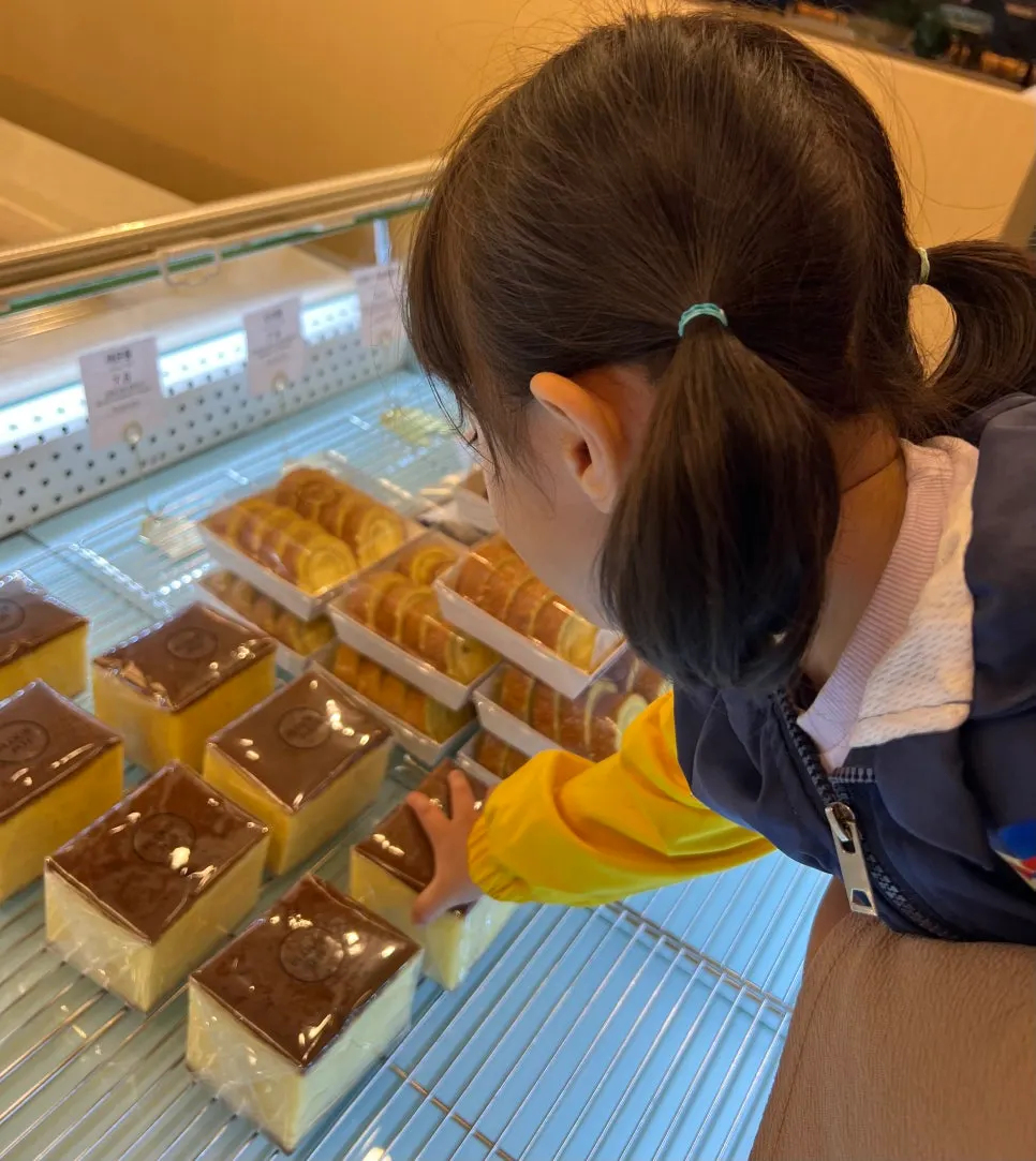 Pre-cut and packaged castella and roll cake
