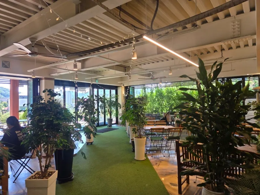 Green interior on the first floor of Flowerpot Cafe