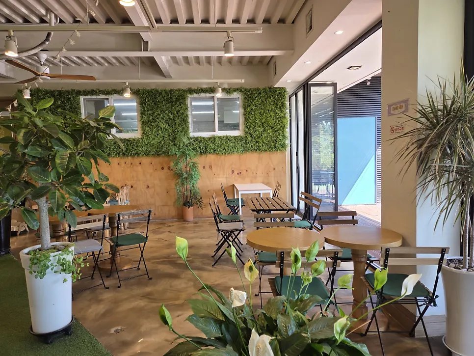 First-floor interior of Flowerpot Cafe filled with green plants