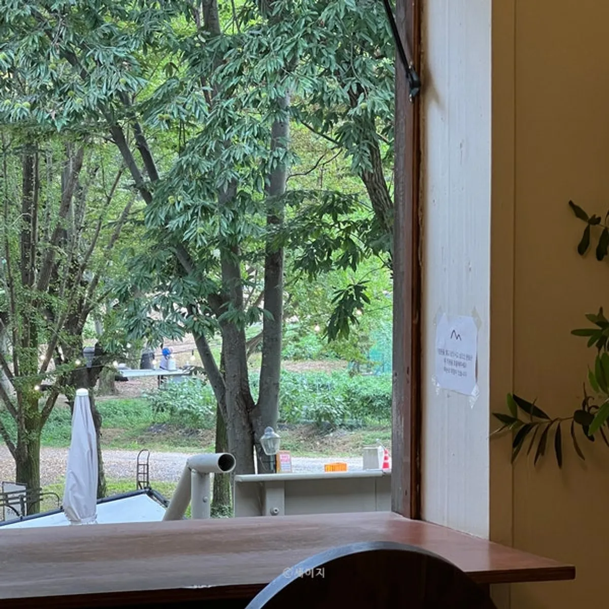 Inner room seat with an outdoor view