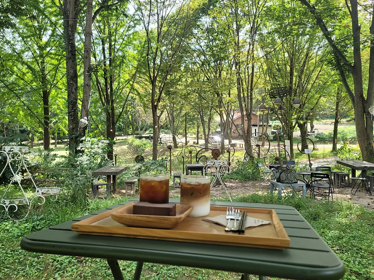 View of Forerest, a large café in Nogyang-dong, Uijeongbu