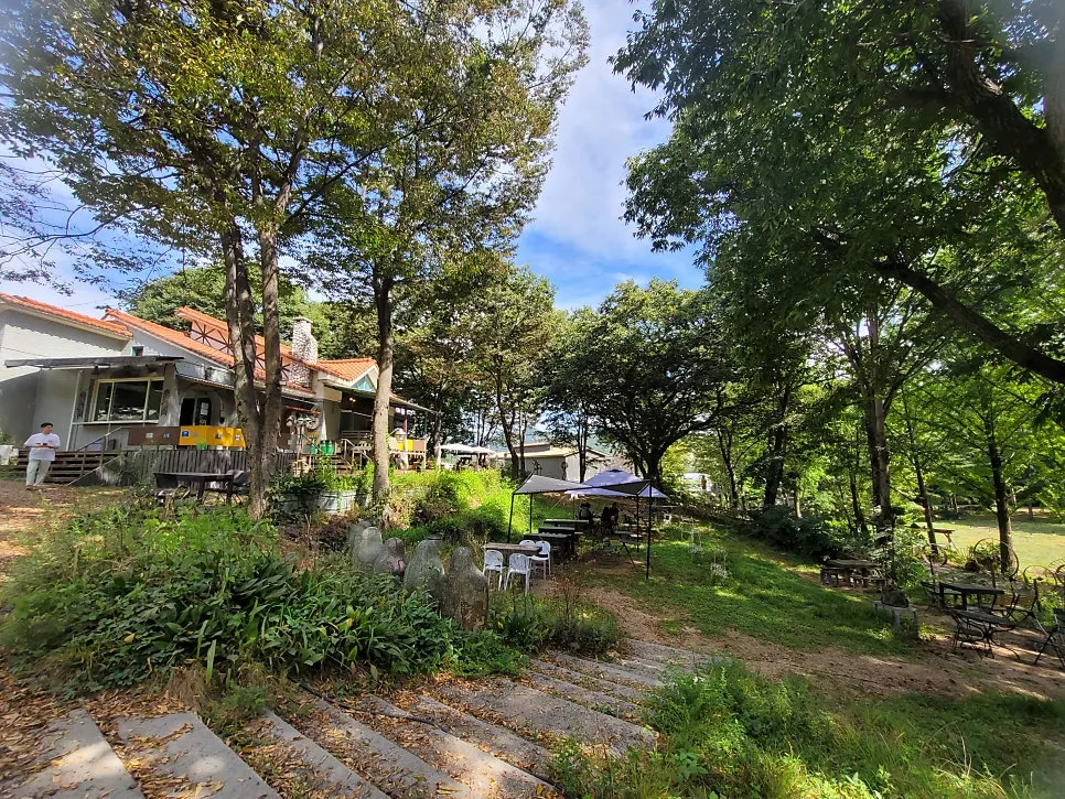 Outdoor tables shaded by tall trees