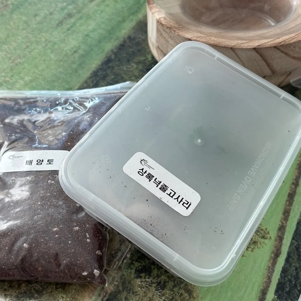 첫 테라리움 만들기에 사용한 포러모먼트 키트