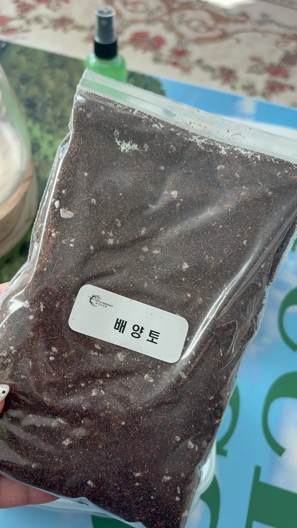 실내 장식으로 활용하는 포러모먼트 테라리움