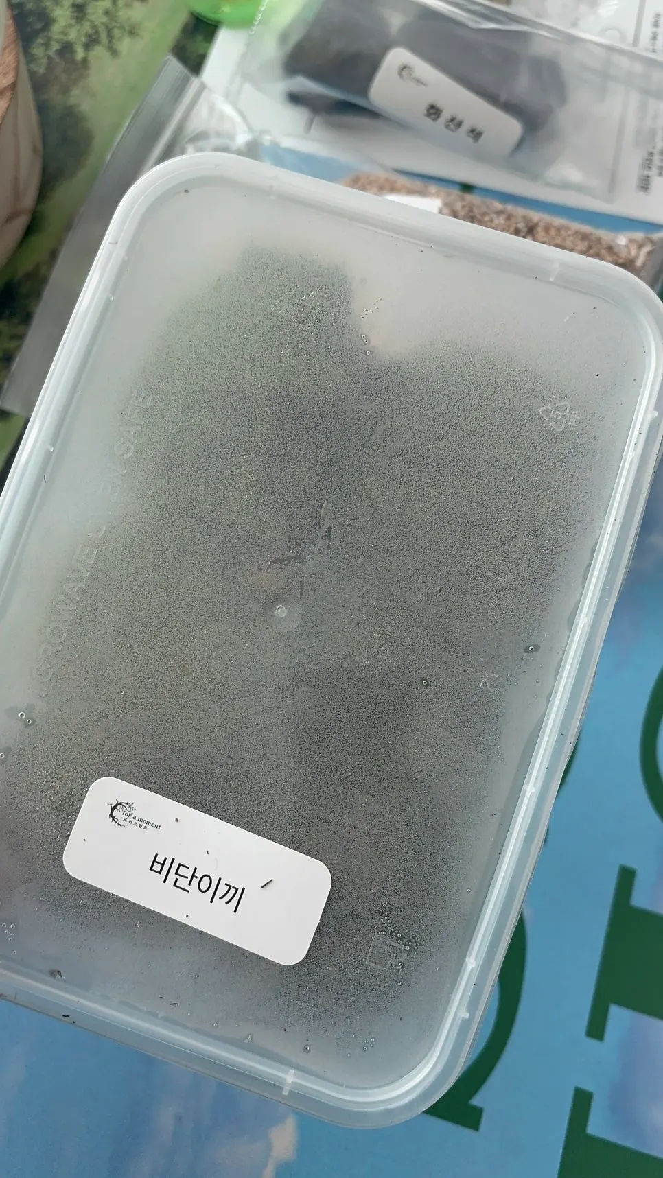 흙과 이끼를 배치해 만드는 테라리움