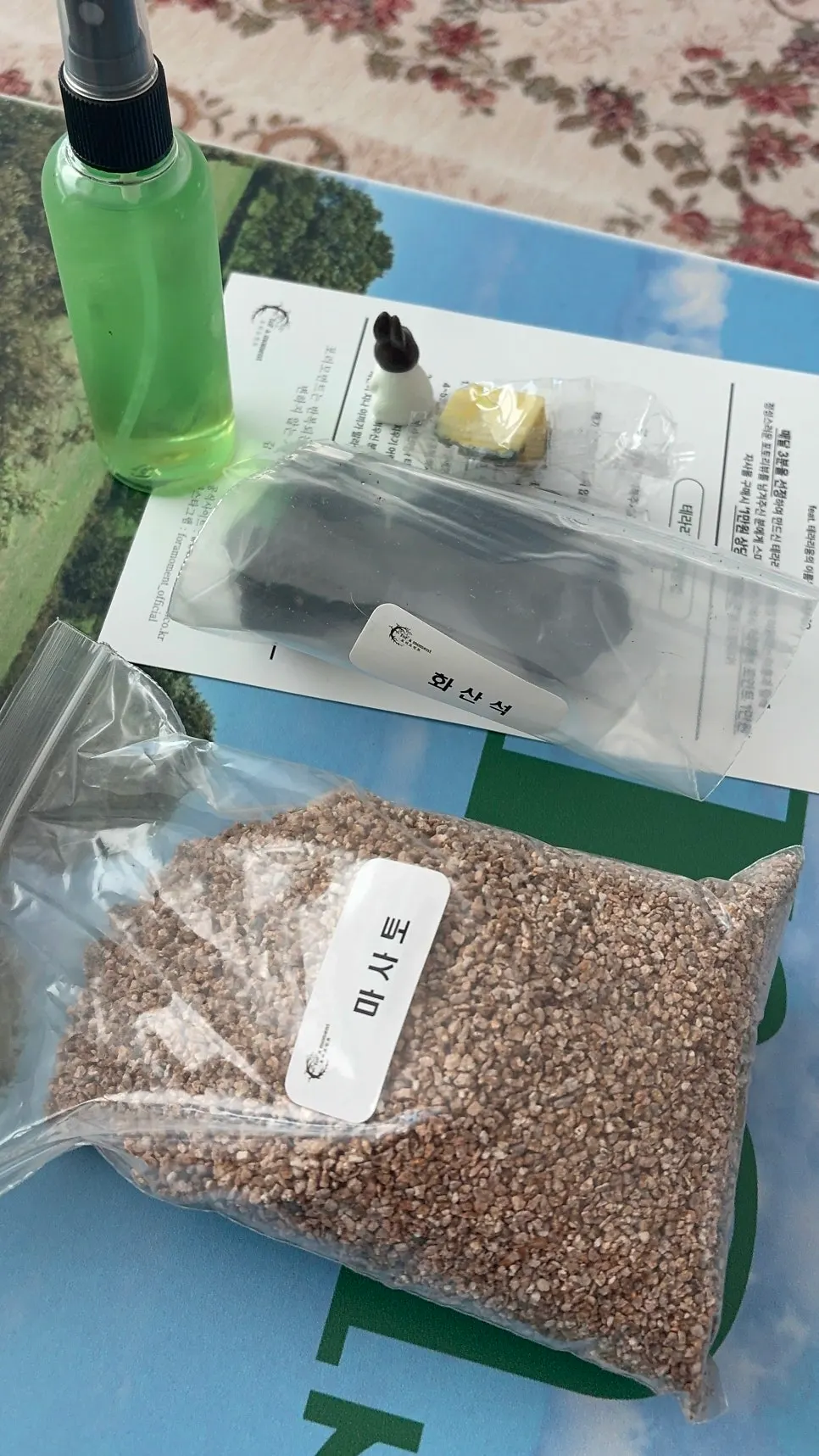 유리 안에 이끼와 식물을 담은 테라리움