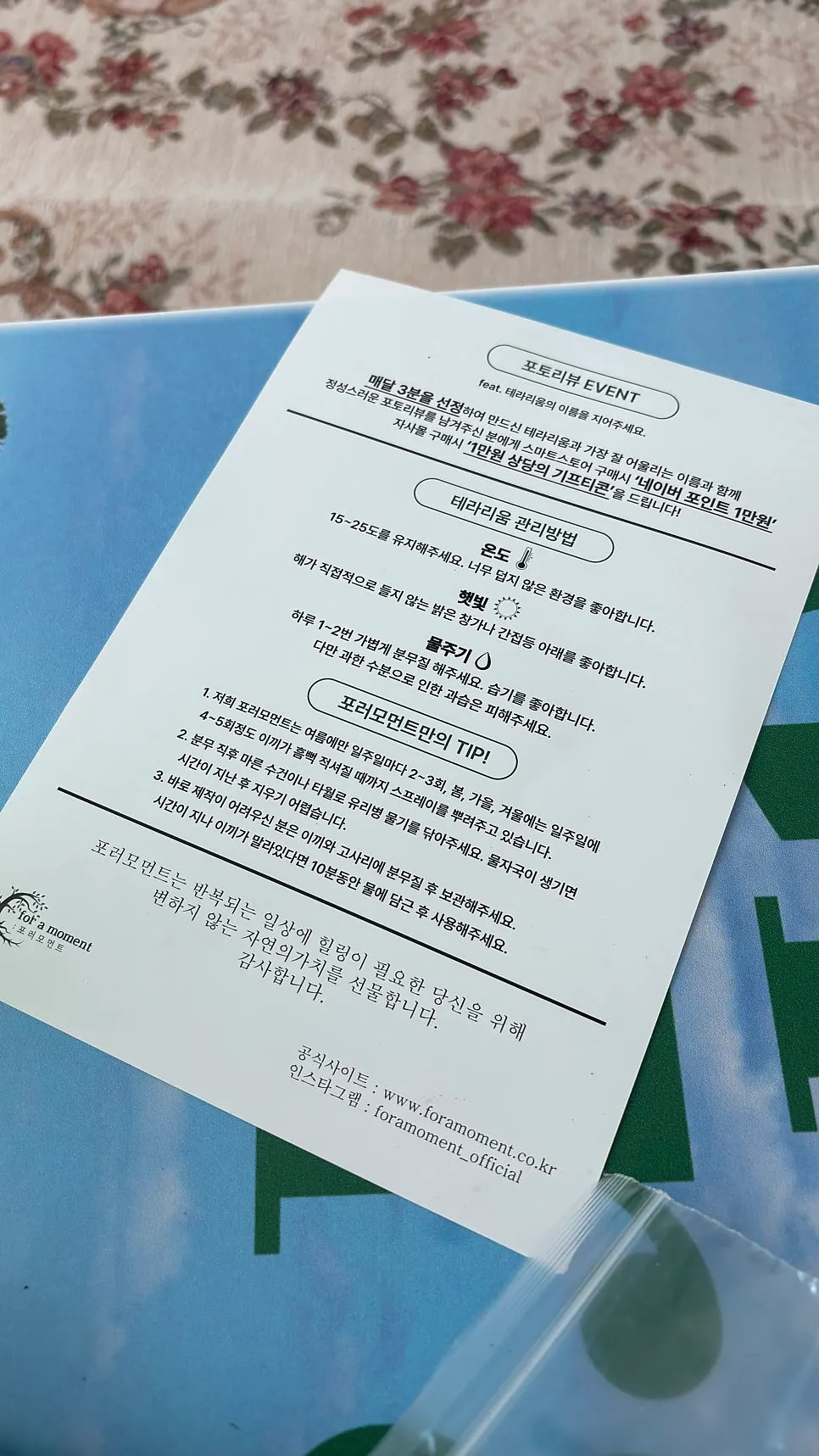 집 안 장식으로 완성한 이끼 테라리움