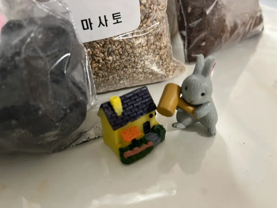 부모와 아이가 함께 꾸미는 유리병 테라리움