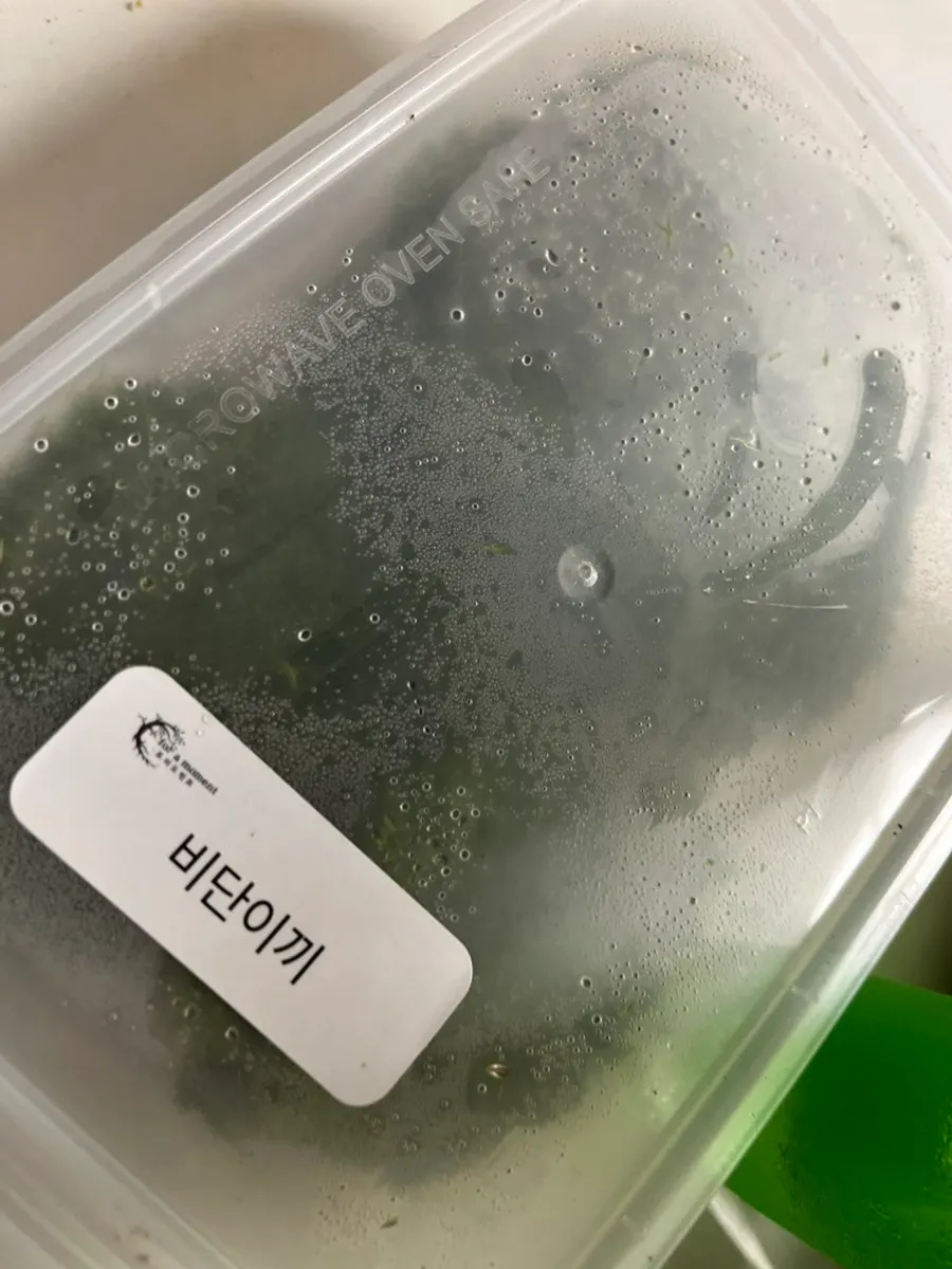 초보자 만들기용으로 살펴본 테라리움 키트