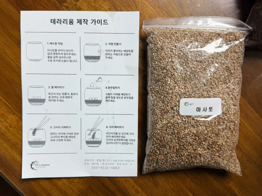 집 안에 두는 포러모먼트 테라리움