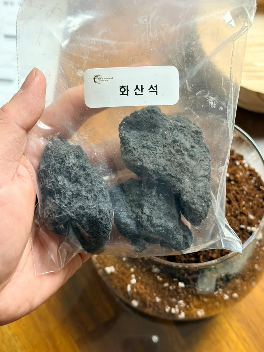 흙을 깔고 화산석을 배치하는 테라리움