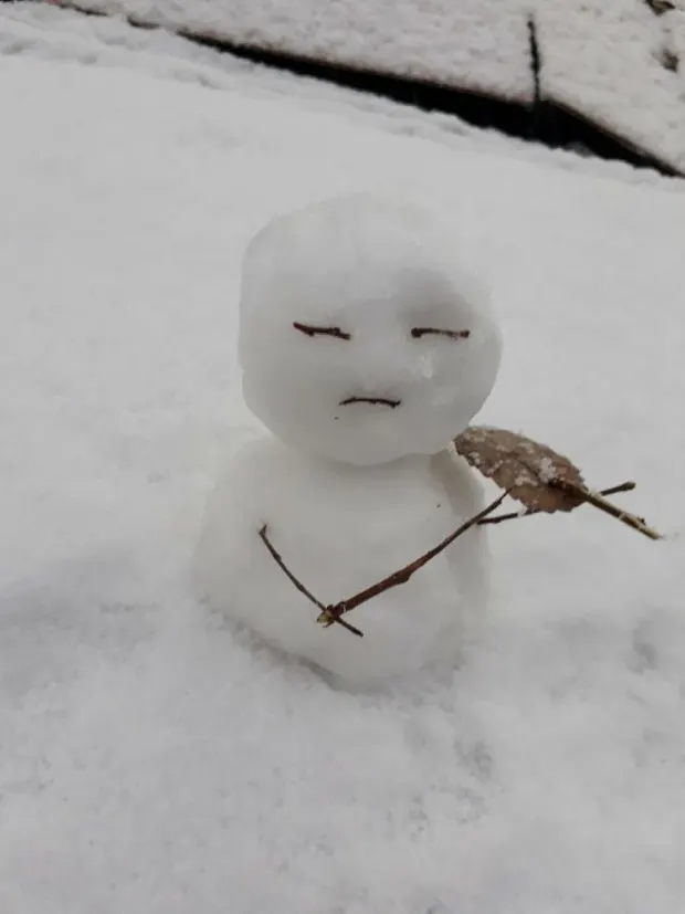 방학 집콕 활동으로 고른 테라리움 키트