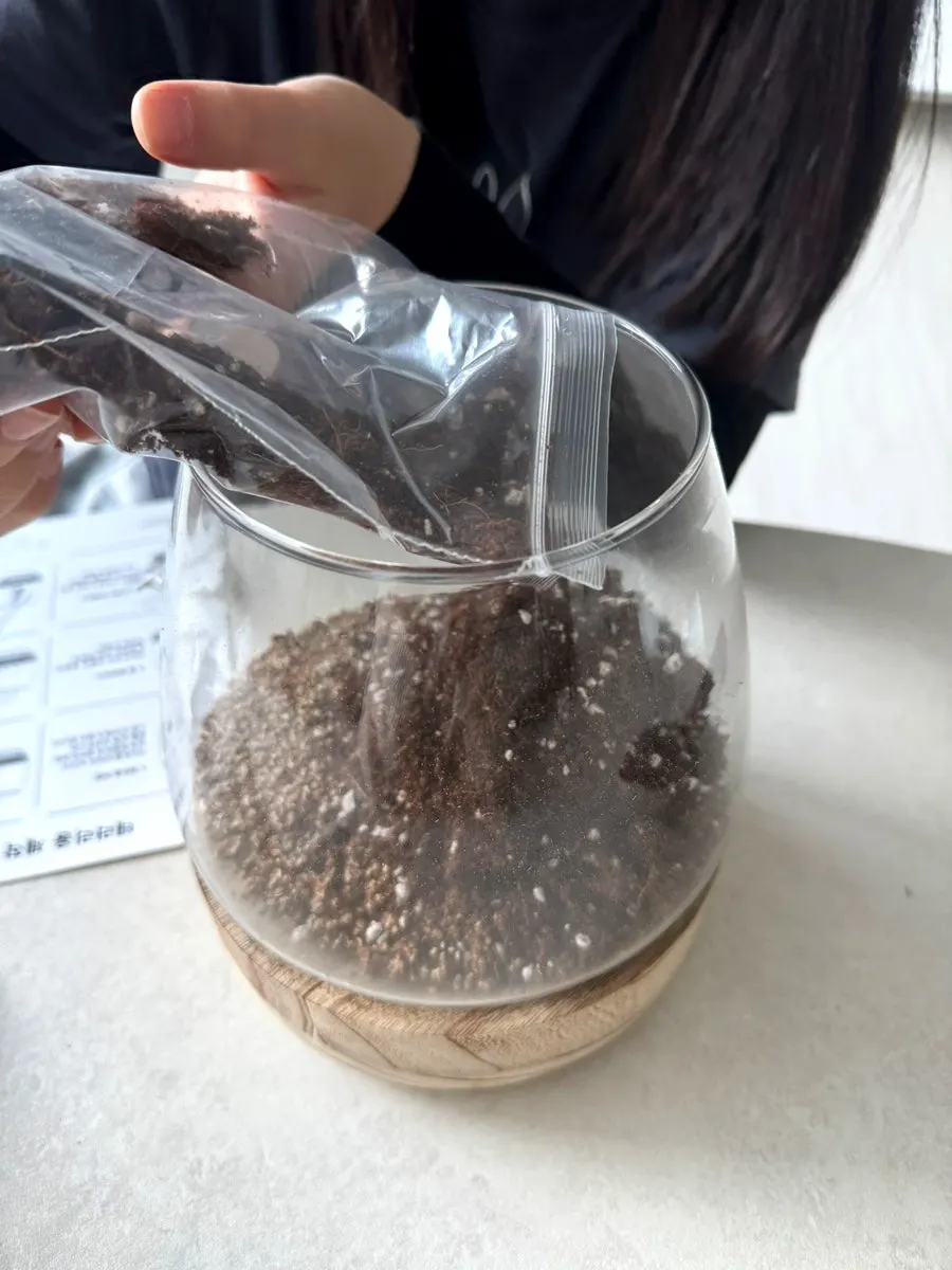 마사토 위에 배양토를 더하는 만들기 과정