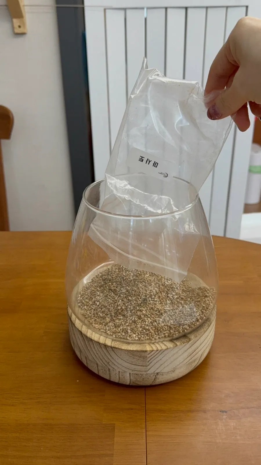 A home terrarium decor piece holding a small piece of nature
