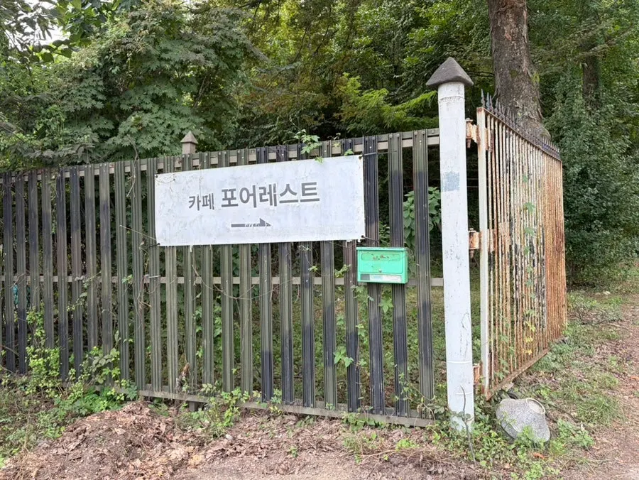포어레스트 카페 외관