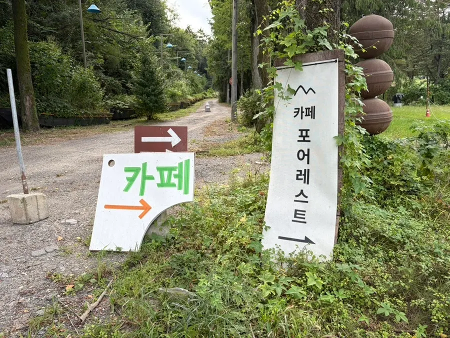 아늑한 분위기의 포어레스트 건물