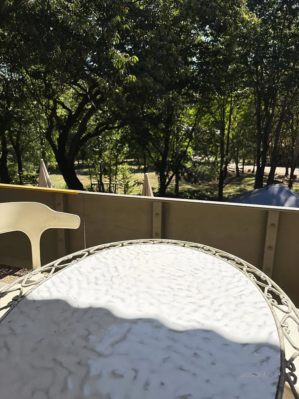 Seat with a view of chestnut trees through the window