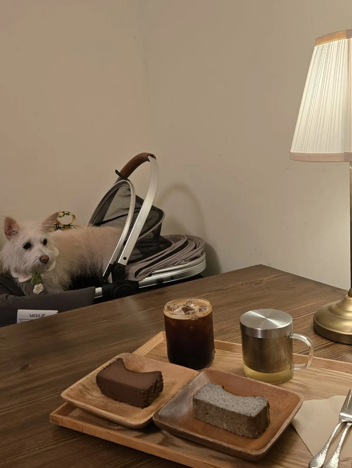 Main photo of Forerest, a dog-friendly café in Uijeongbu