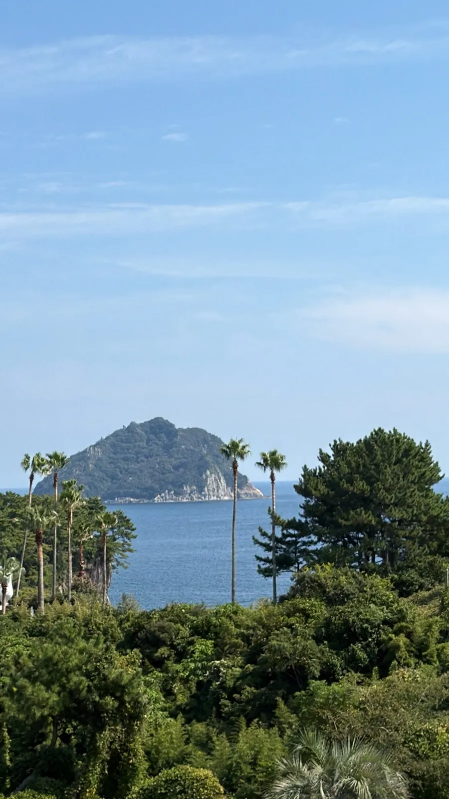 Cover image of Forest Jeongbang, a café near Jeongbang Waterfall in Seogwipo