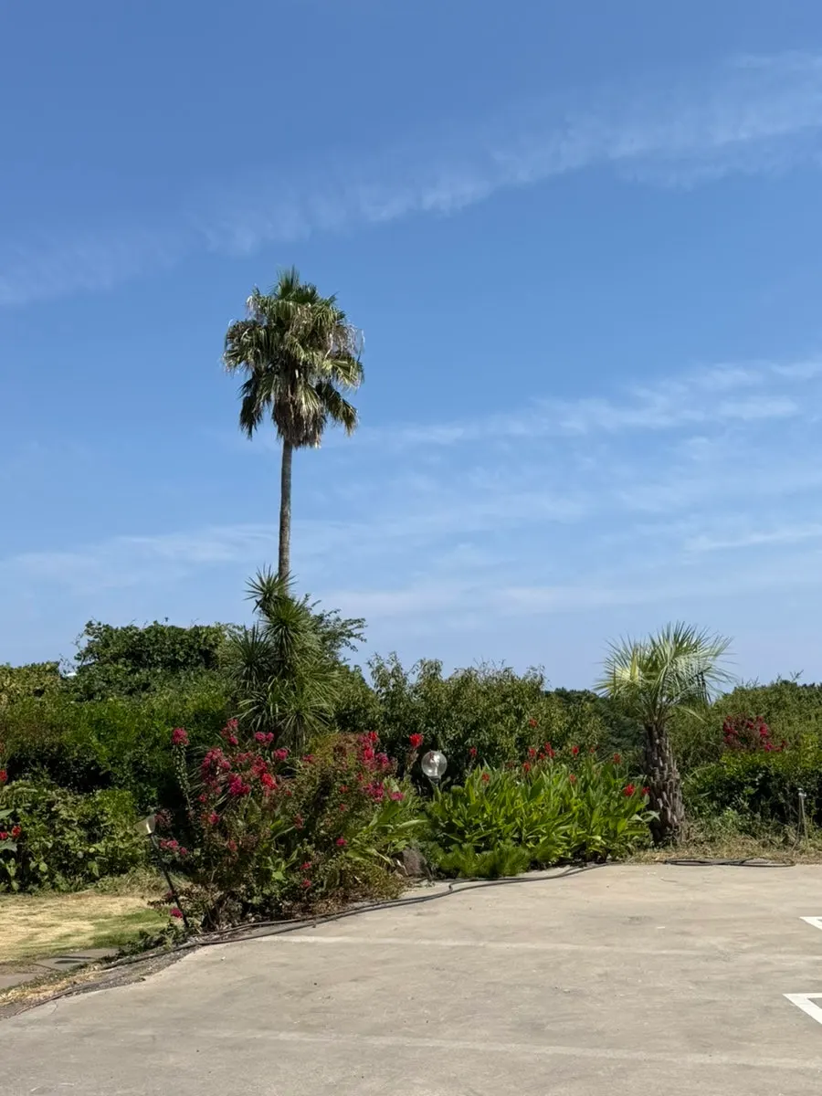 Free parking lot in front of the café