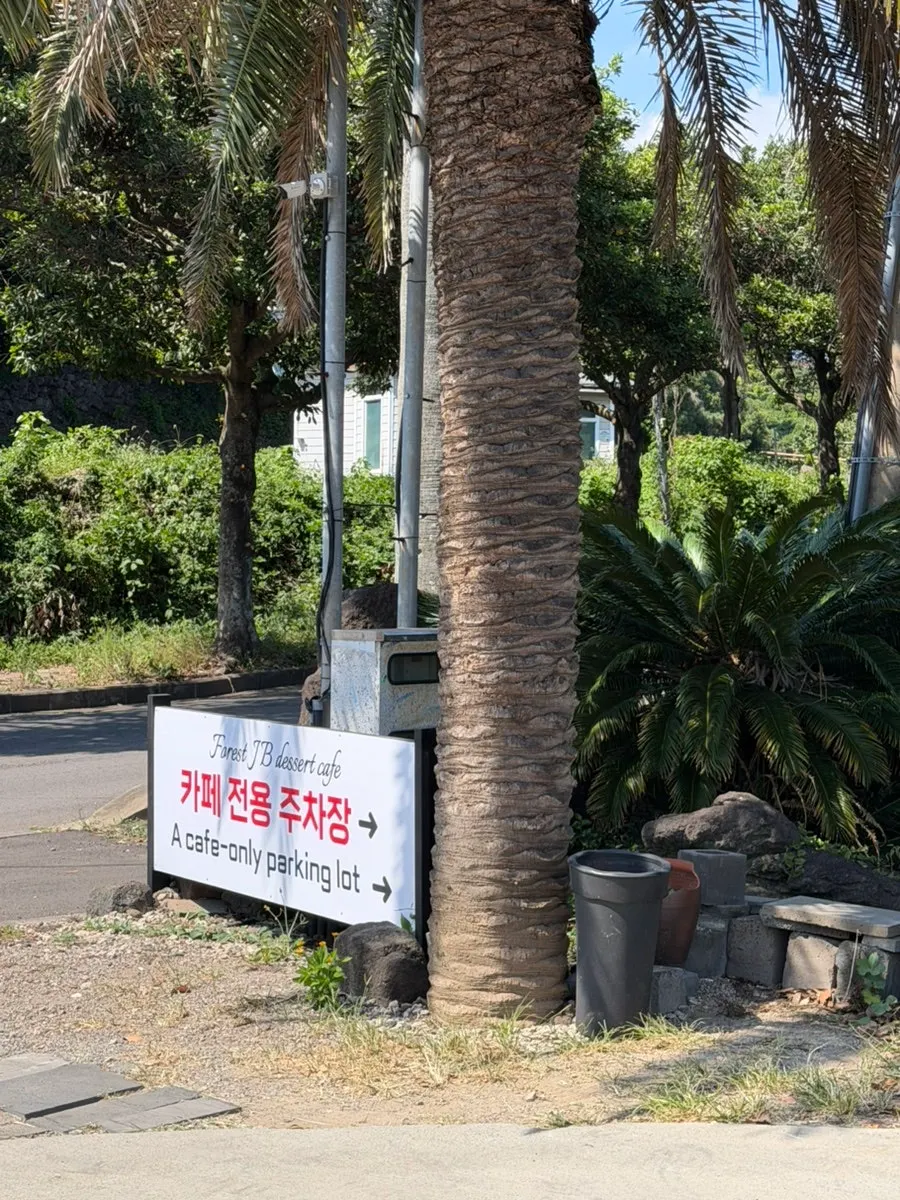 Outdoor scenery around the café entrance