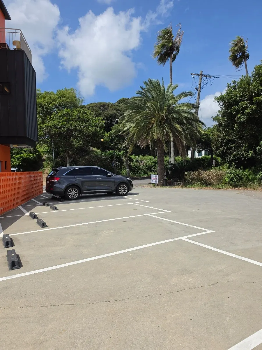 Forest Jeongbang's dedicated parking lot lined with palm trees