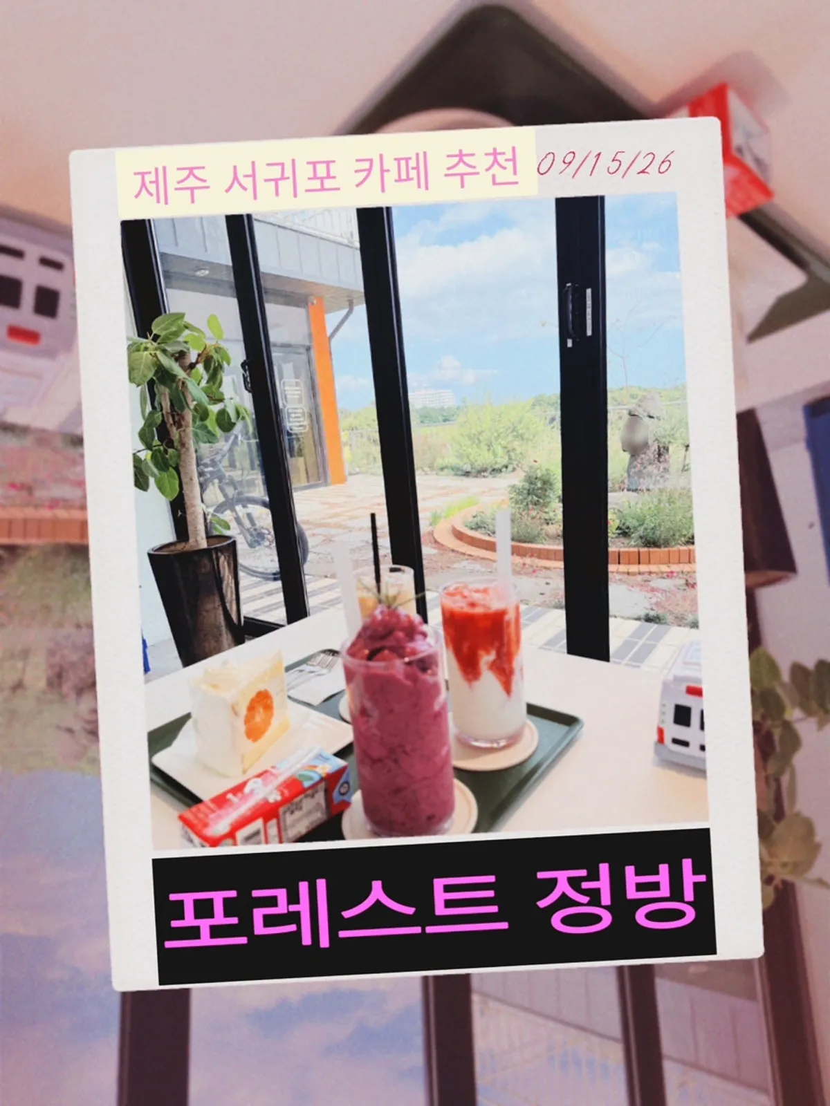 서귀포 포레스트 정방 카페 방문 사진