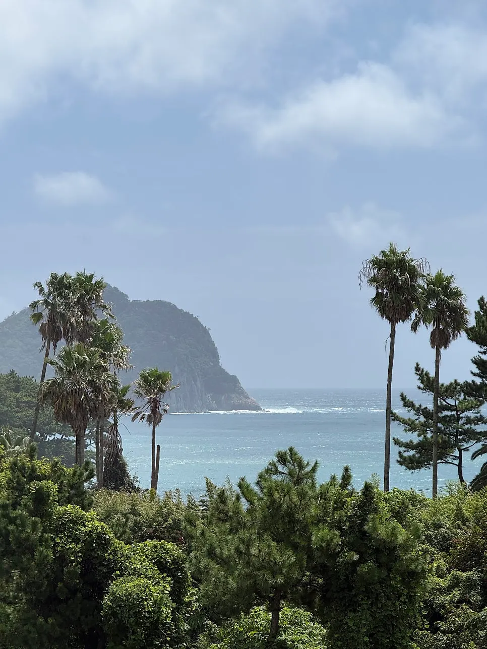 포레스트 정방 2층 창가 자리와 디저트
