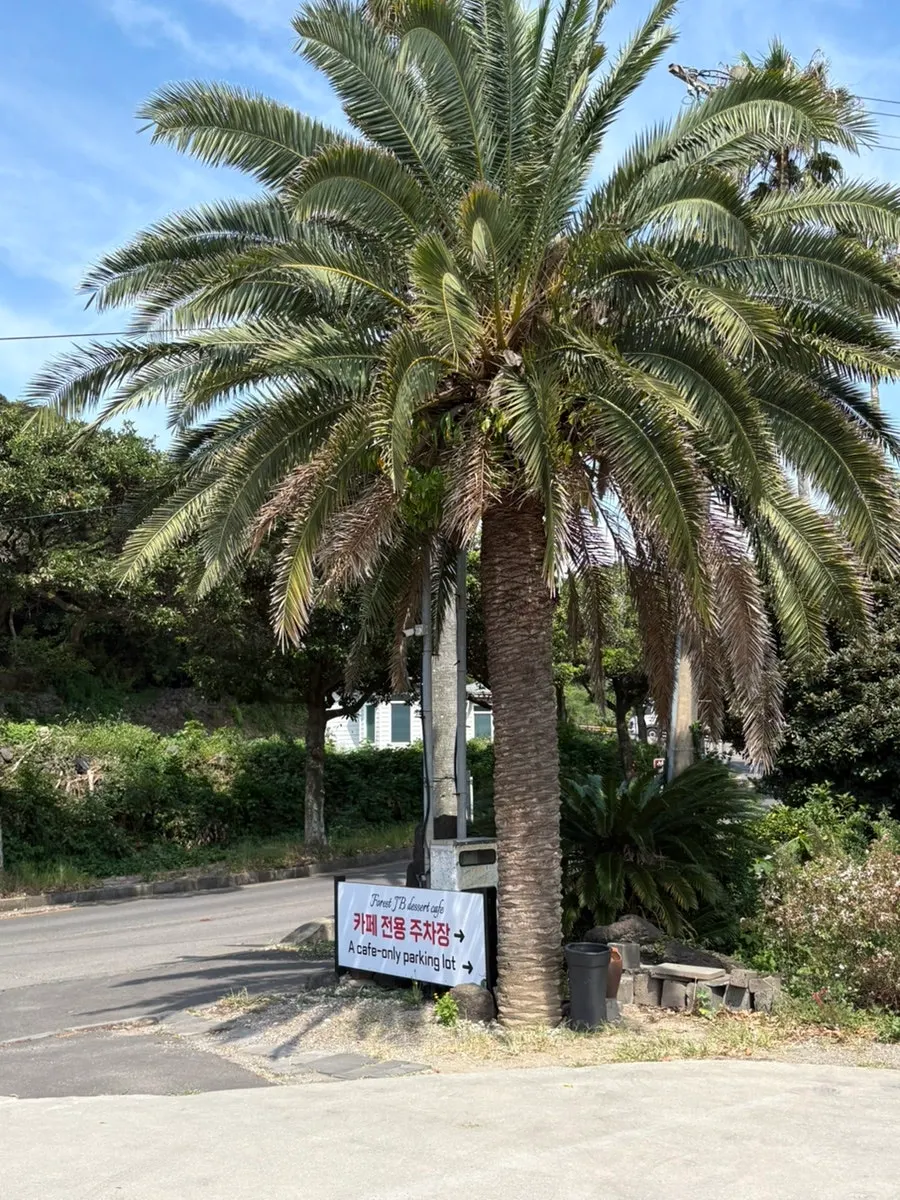 The standalone Forest Jeongbang building with palm trees visible