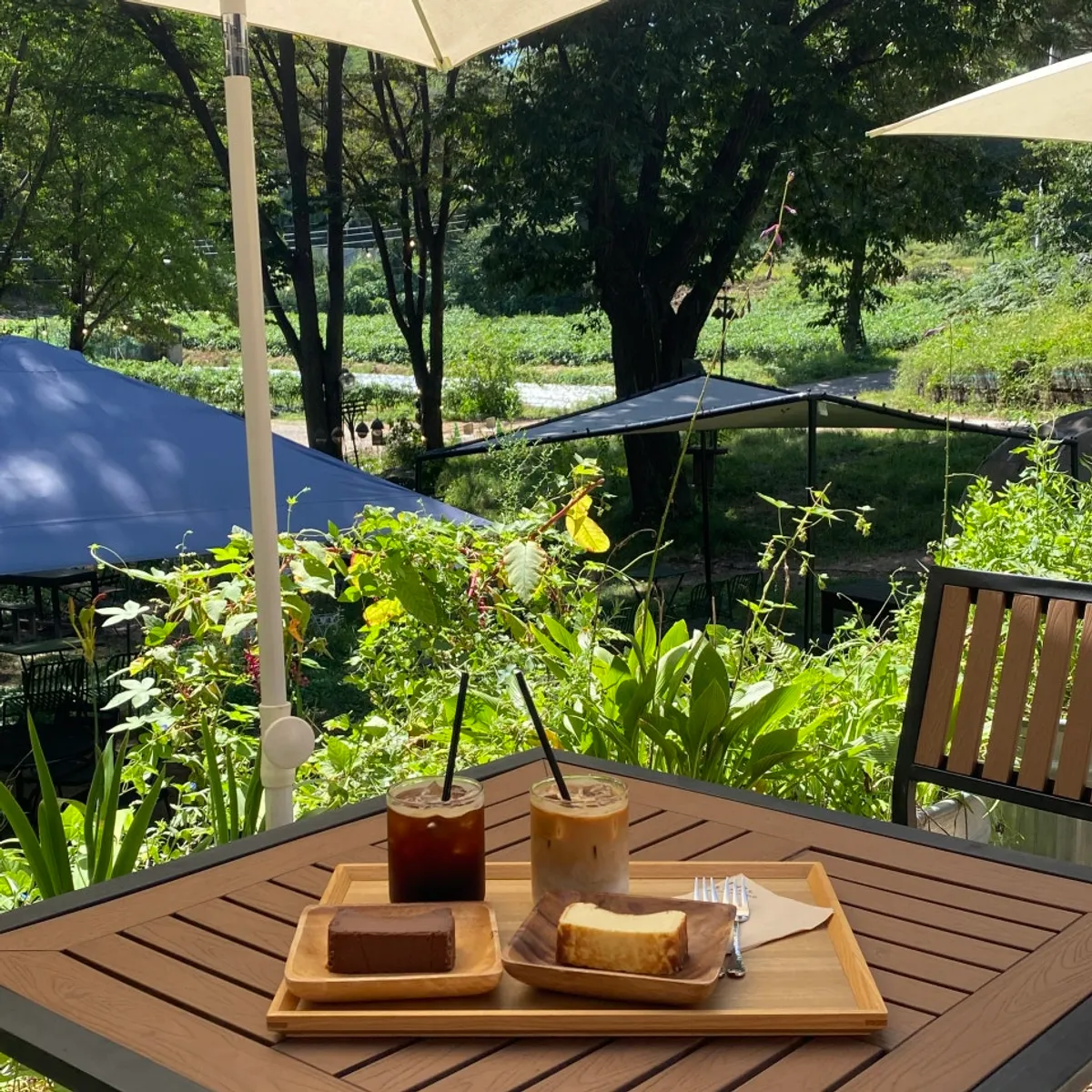 Main image of Forerest, an outdoor forest café in Uijeongbu