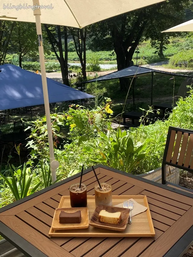 View of Forerest's forest café on a clear day