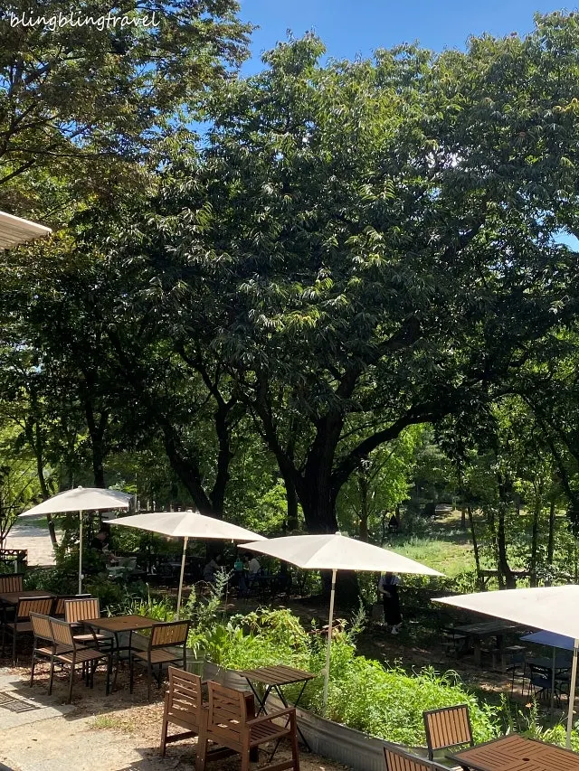 Outdoor tables at Forerest set under a big tree