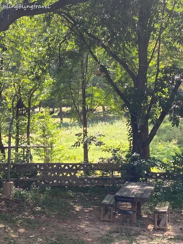 Forerest forest seating with parasols and a tent