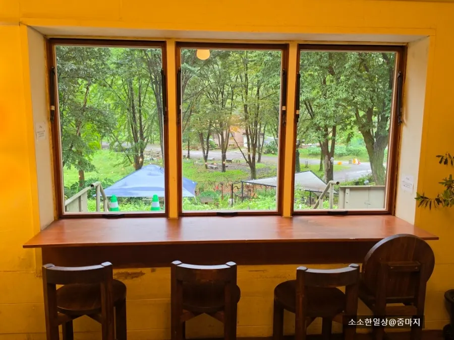雨が降る日の窓外の風景
