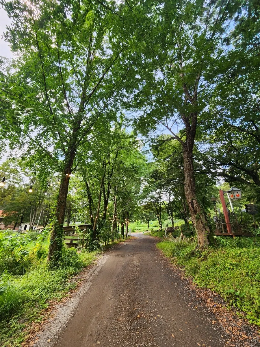 Entrance road leading past the gate to the café