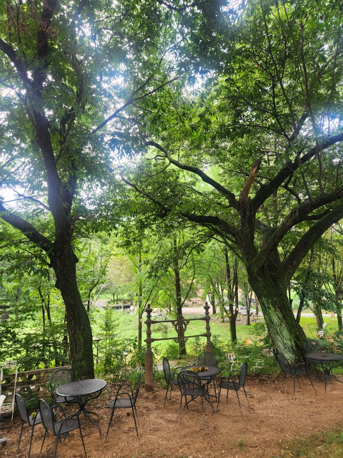 Wide lawn garden surrounding the café
