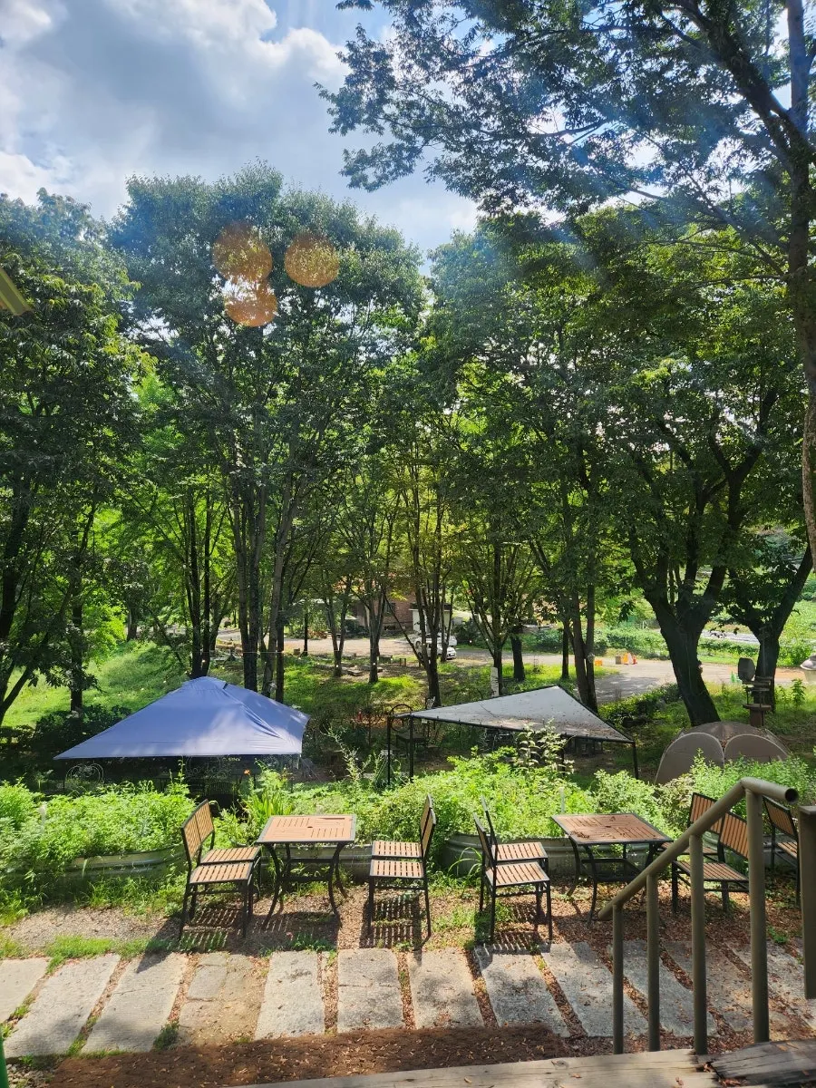 View of garden trees from the window seat