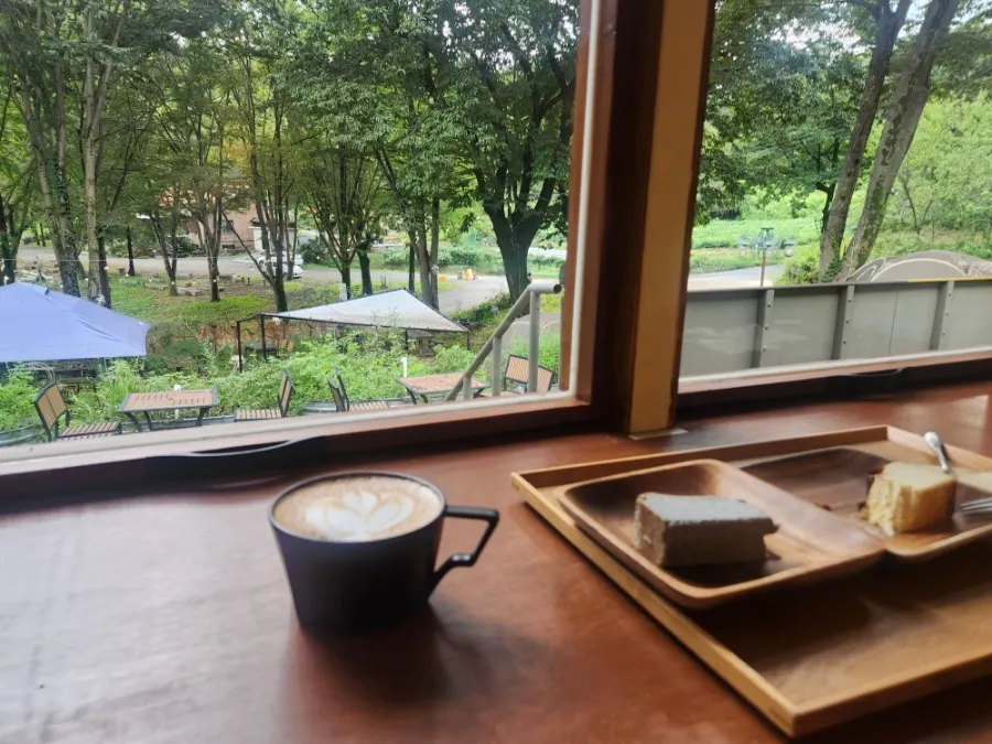 Coffee and cheesecake on the table by the full-length window