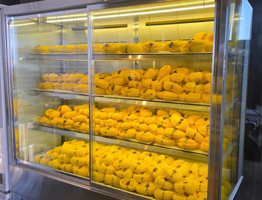 Mangoes on display at Fruit Forest
