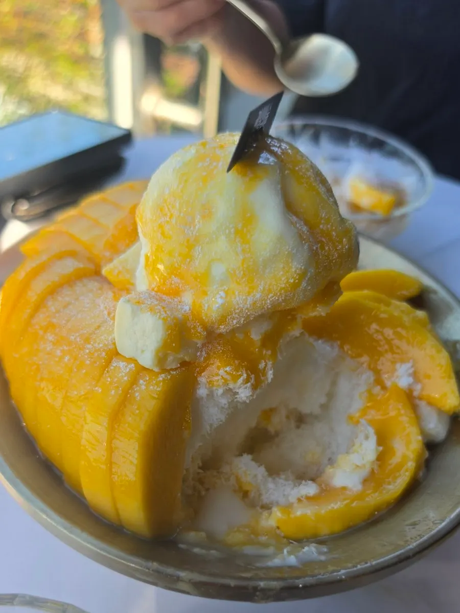 Milk snow ice with mango sauce drizzled on top