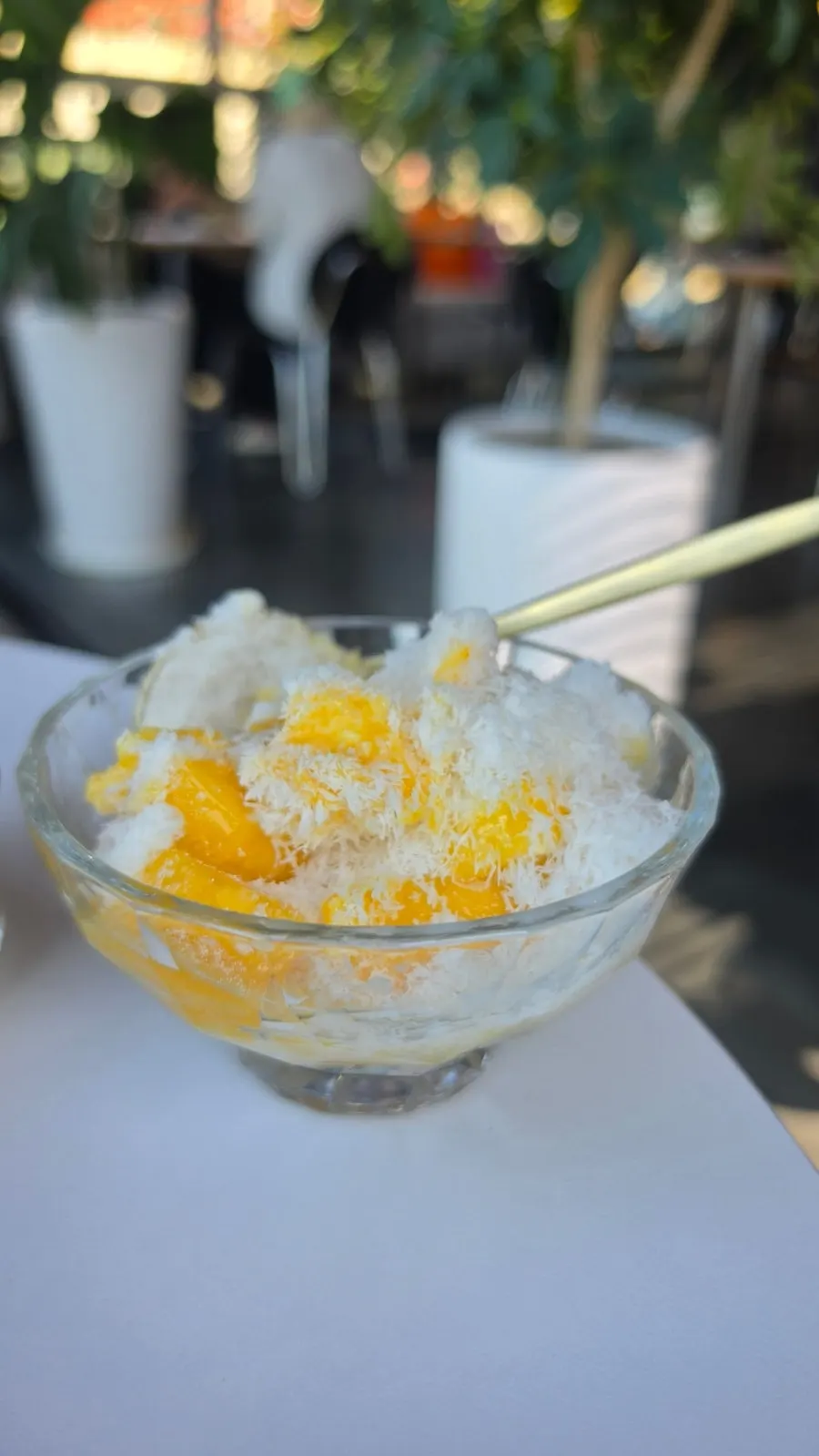 Close-up of mango bingsu at Fruit Forest