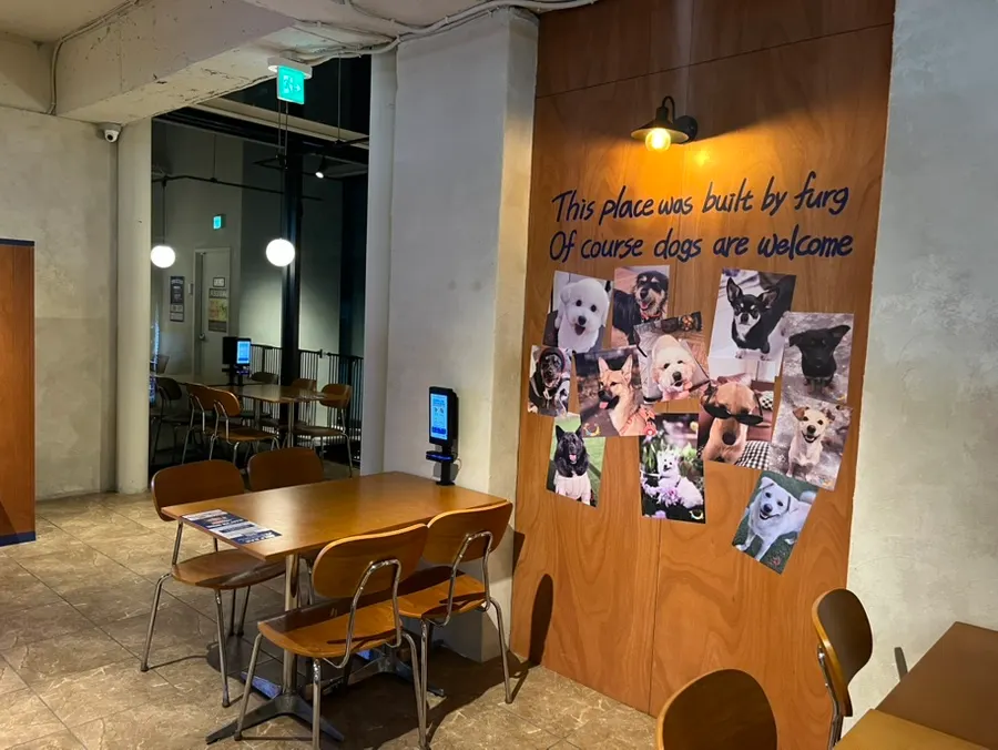 Dog photos posted on the 3rd floor wall