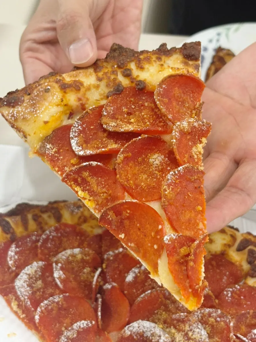 Pizza slice topped with parmesan cheese powder