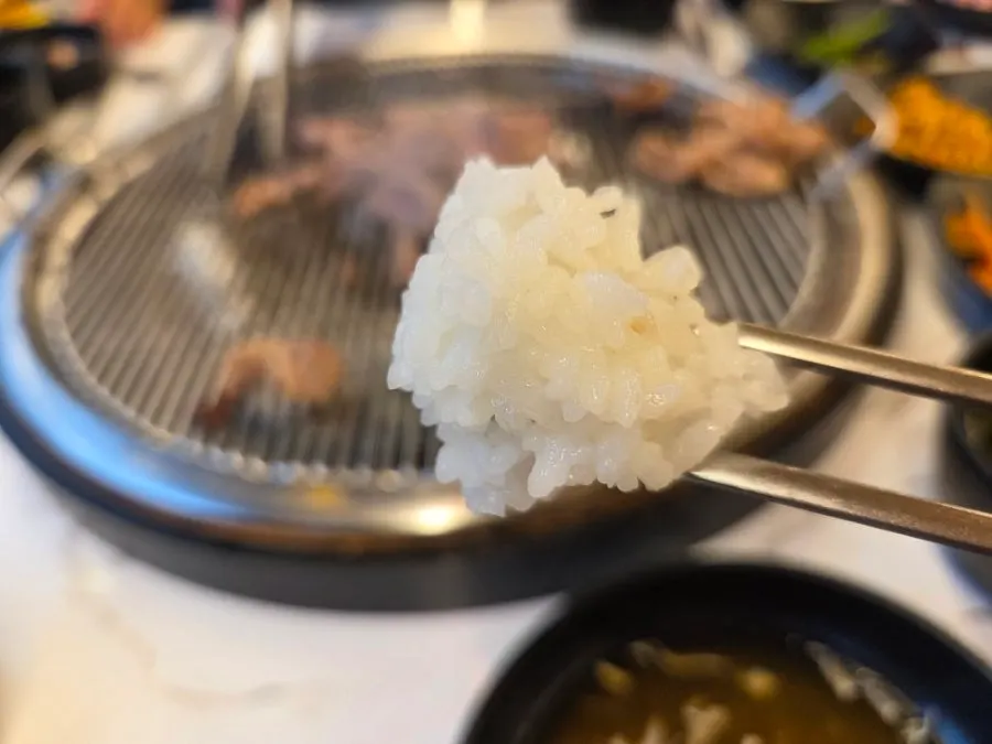Bowl of sticky rice and side dishes