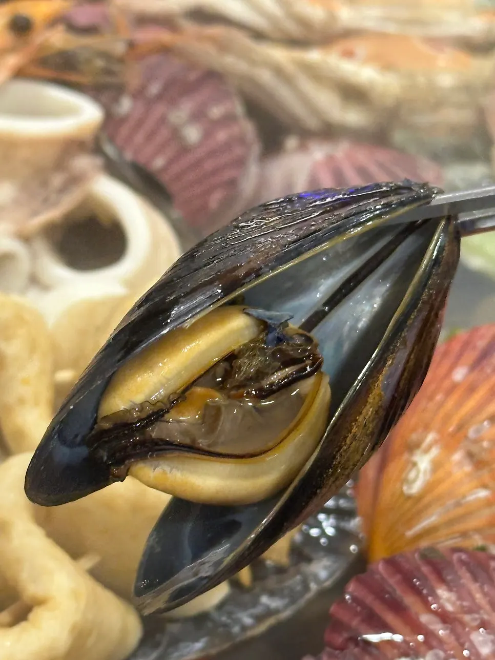 A piece of clam meat cooked through in the broth