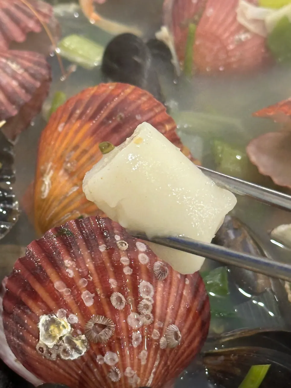 Fish cake soaked in the hot pot broth