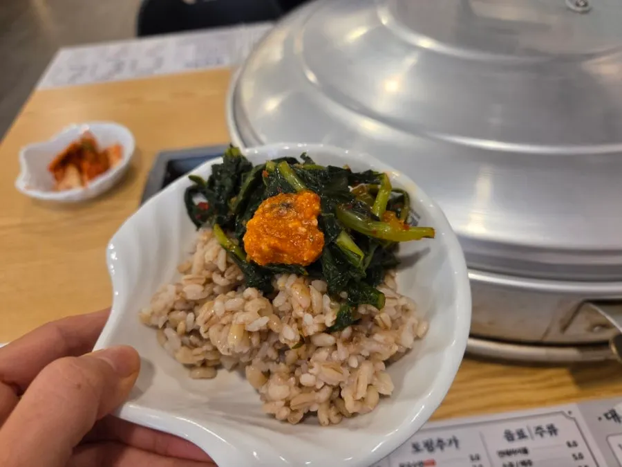 A bowl of barley rice mixed with yeolmu and kimchi